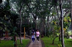 Taman di Jakarta akan Dilengkapi Fasilitas Olahraga