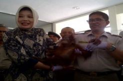 Karantina Kembalikan Satwa yang Mau Diselundupkan