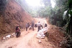 Pembabatan Hutan Lindung Melanggar UU Kehutanan