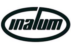 Bangun PLTA-Pelabuhan, Inalum Siapkan Rp22,4 T