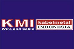 Hadapi Hambatan, Prospek KBLI Diprediksi Masih Cerah