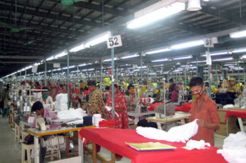 Pemerintah Janji Selesaikan Kendala Pembangunan Industri