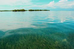 Keberadaan Hotel di...