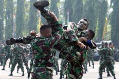 Soal Tentara Cadangan, Jokowi Bilang Hansip Bisa Dilatih