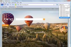 Bing Go International