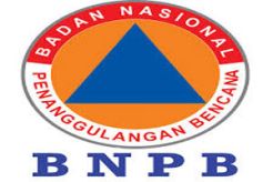 Tangani Kebakaran Hutan, BNPB Siapkan Rp355 M