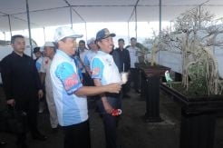 Wagub Minta Pemkab Peduli Lingkungan