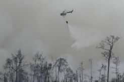 Kebakaran Hutan dan Lahan Kepung Rokan Hilir