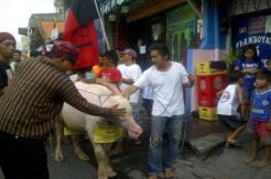 Sukuran, Warga Dolly...