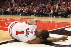 Bulls tak Ingin Rose...