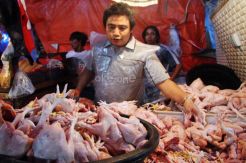 Awas, Makanan Mengandung Formalin di Pasar Cibinong