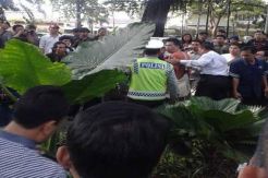 TPS Jokowi Ricuh, Pengunjung Kehilangan HP