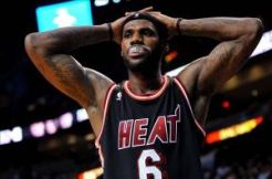 King James Balik Kucing,...