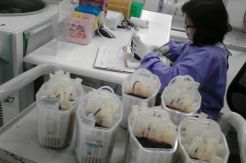 Stok Darah di PMI Cianjur Menipis