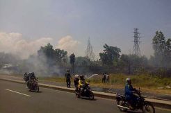 Lahan Gambut Terbakar di Akses Suramadu
