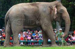 Padat Pengunjung, Belasan Anak Hilang di Ragunan