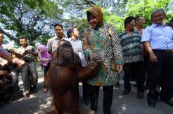 KBS Tetap Jadi Tujuan Wisata Warga Surabaya