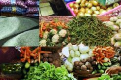 IHPB Nonmigas pada Juli 2014 Naik 1,19%