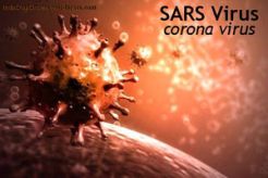 Ini Berbagai Penyebab Manusia Tertular Virus Ebola