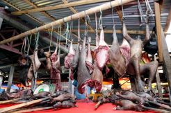 Di Manado, Semua Hewan Peliharaan Bisa Dimakan