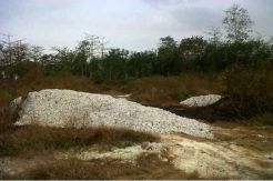 Pembuang Limbah Beracun di Pasuruan Ditangkap