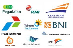 Sejumlah Masalah yang Harus Diselesaikan BUMN