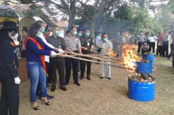 Polres Serang Musnahkan 77 Kg Ganja