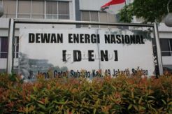 Kepengurusan DEN Era Jokowi Masih Disusun