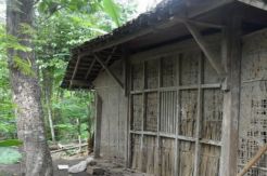 Masih Ada Ribuan RTLH di kota Yogyakarta