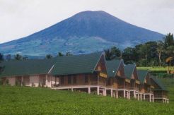 Gempa Pagaralam Picu Aktivitas Gunung Api Dempo