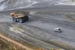 Newmont Harus Ikuti Prosedur seperti Freeport