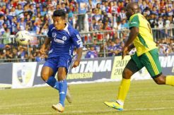 Kuda Pegasus Ogah Tersandung di Kandang