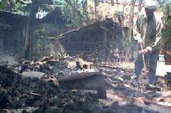 Kandang Terbakar, Sapi Limosin Terpanggang