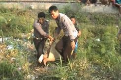Pengendara Motor Tewas Disambar KA Sarangan Ekspres