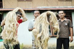 Nasib Petani Bahan Baku Dollar di Sulut Memprihatinkan