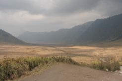 Kebakaran Savana Bromo Meluas Menjadi 100 Hektare