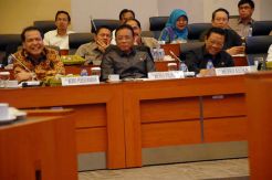 Dua Kemenko Siap Bantu Pemerintahan Jokowi-JK