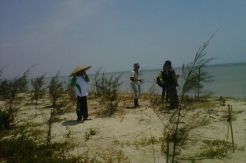 Abrasi di Pesisir Jepara Makin Parah