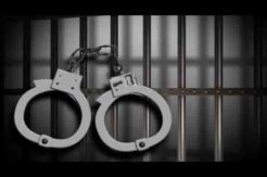 Dua Pencuri Kayu Jati Ditangkap Polisi
