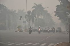 Warga Pekanbaru Mulai Terbiasa dengan Kabut Asap