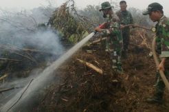Ketebalan Lahan Gambut yang Terbakar di OKI Capai 3-8 Meter