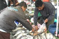 Pengelolaan PIH di Bandung Terbengkalai