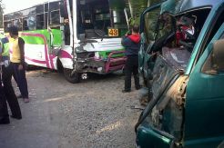 Zebra Tabrak Bus, Jalur Parangtritis Macet