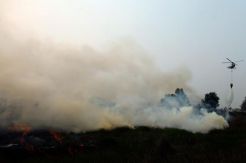 Kabut Asap, Operasional Pelabuhan Boom Dikurangi