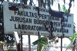 Dosen UGM Diminta Transparan Soal Harta Kekayaan