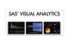 SAS Visual Analytics...