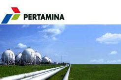 Gerak Pertamina Terpasung UU Pro Asing