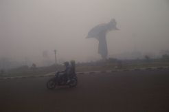 Kabut Asap Kepung Jakabaring, Warga Takut Berolahraga