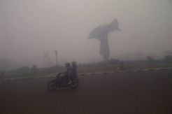 Hujan di Palembang Terhalang Kabut Asap