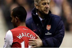 Walcott Tak Ingin Desak Wenger